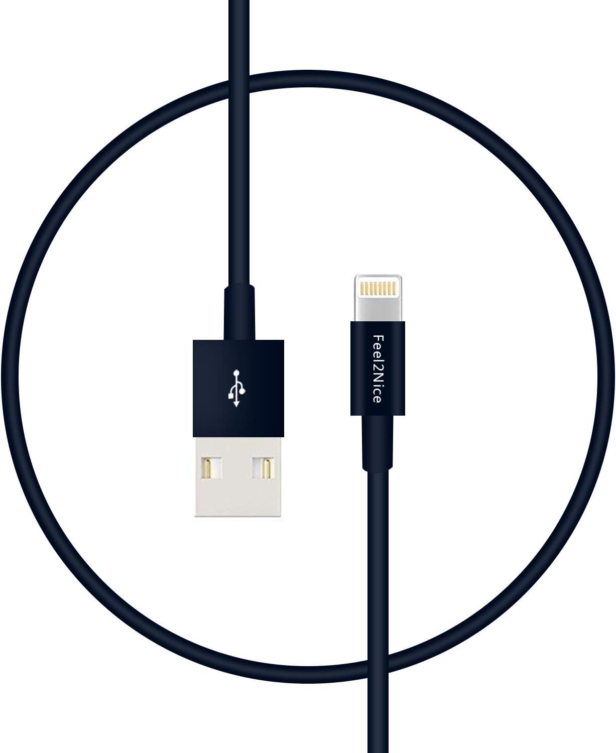 FEEL2NICE 5 Pack 10ft Charger Cord for Long 10 Foot iPhone Charging Cable/Data Sync Fast iPhone USB Charging Cable Cord Compatible with iPhone X Case/8/8 Plus/7/7 Plus/6/6s Plus/5s/5,iPad Case(Blue)